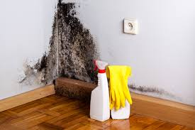 Best Mold Remediation for Healthcare Facilities  in Morgantown, KY